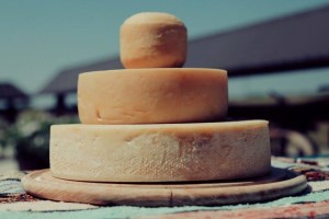Буйволина ферма Карпатський буйвіл, екскурсія та дегустація